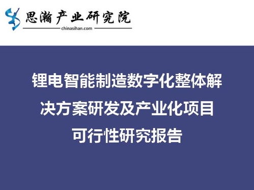 鋰電智能制造數字化整體解決方案研發及產業化項目可行性研究報告 數據處理和存儲服務
