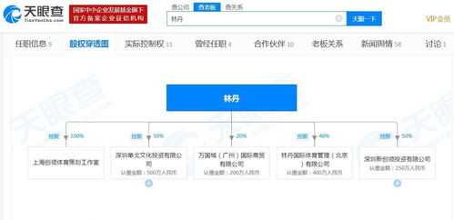 林丹退役后的商業(yè)版圖 關聯(lián)5家公司，數(shù)據(jù)服務領域成亮點